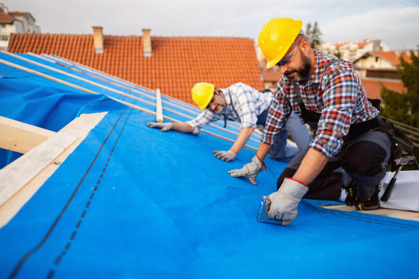 Best Metal Roofing Contractor  in Biggs, CA